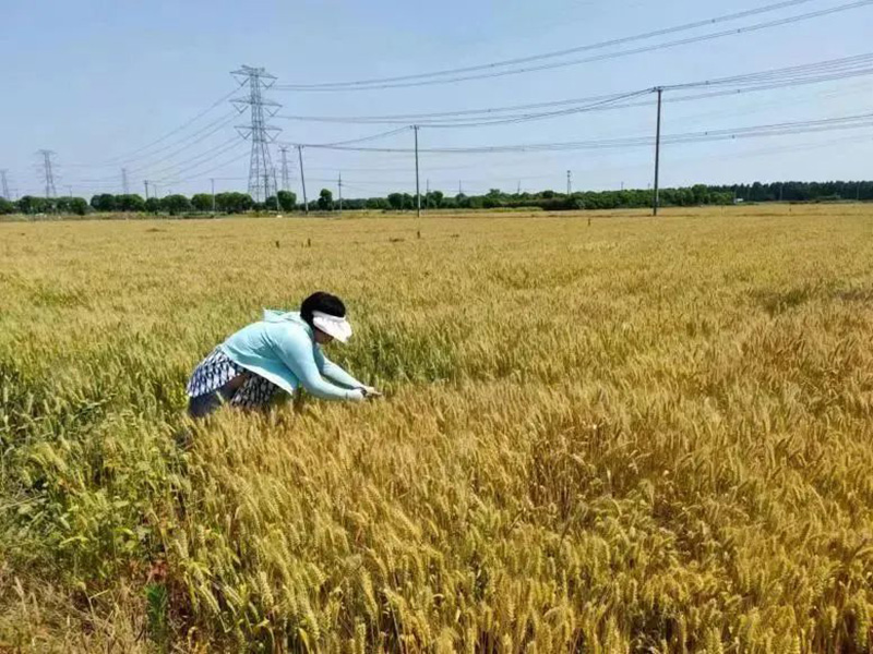 圖片關(guān)鍵詞 圖片關(guān)鍵詞