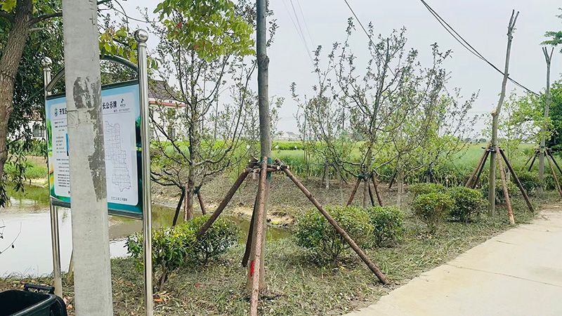 圖片關(guān)鍵詞 圖片關(guān)鍵詞