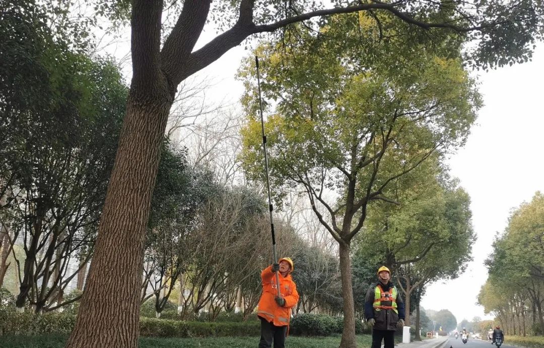 圖片關(guān)鍵詞 圖片