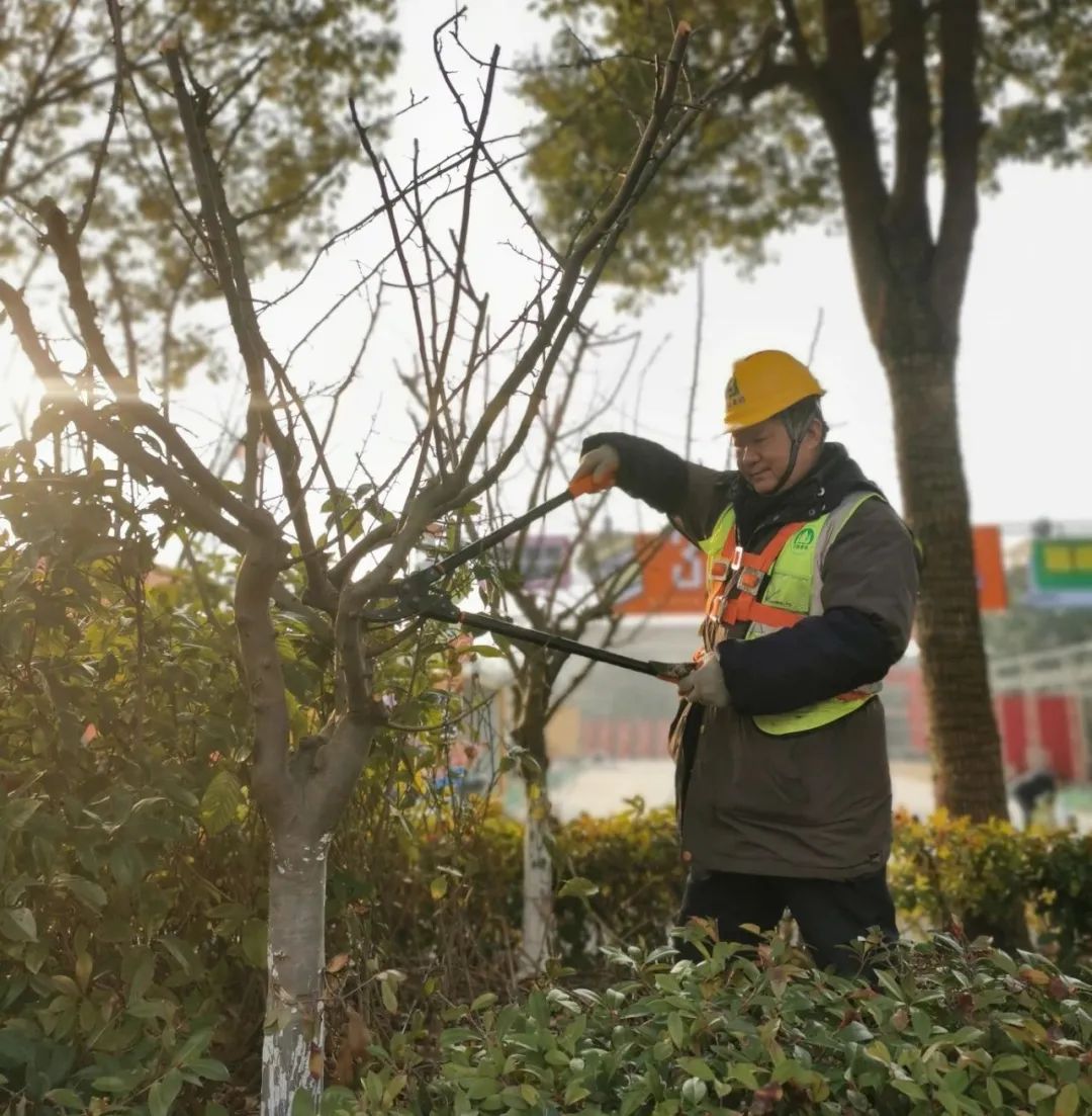 圖片關(guān)鍵詞 圖片