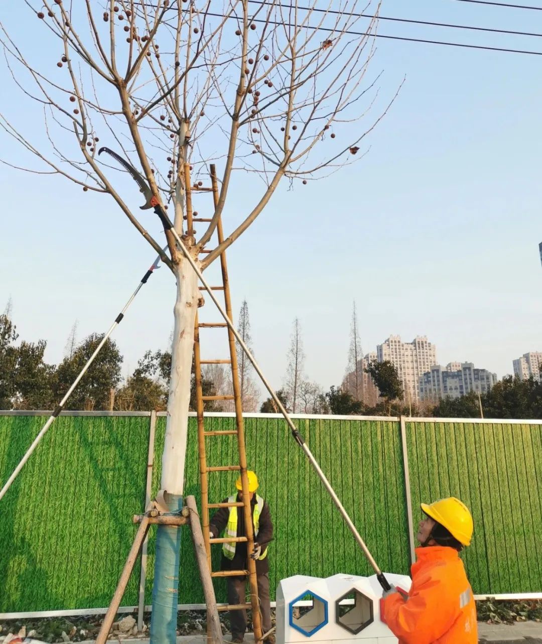 圖片關(guān)鍵詞 圖片