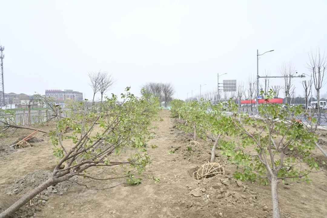 圖片關鍵詞 圖片