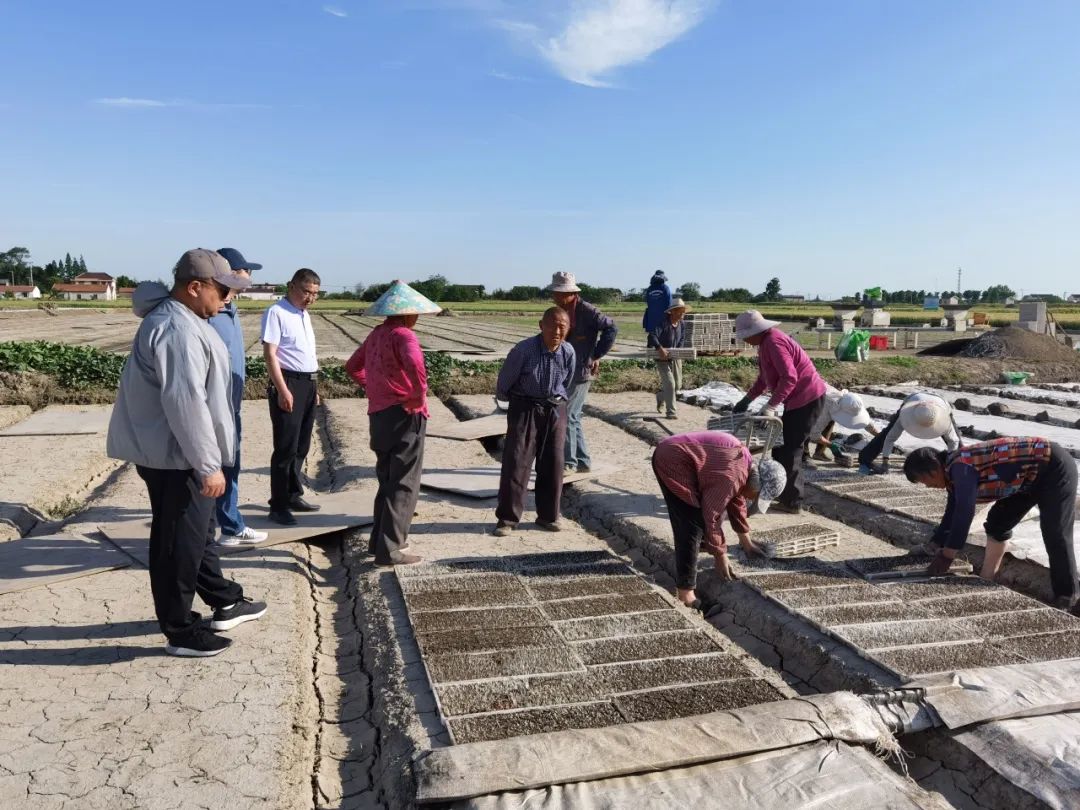 圖片關(guān)鍵詞 圖片