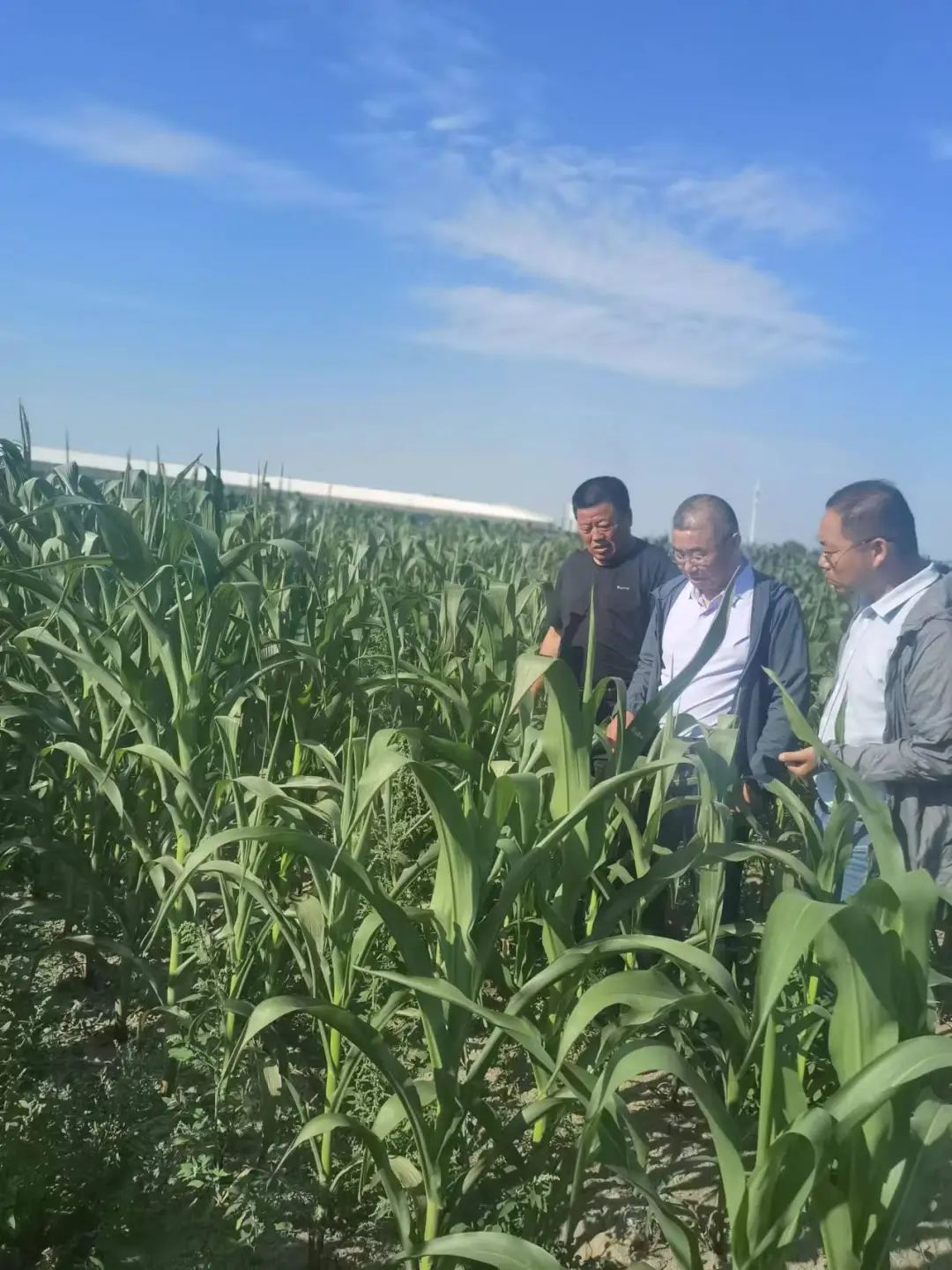 圖片關(guān)鍵詞 圖片