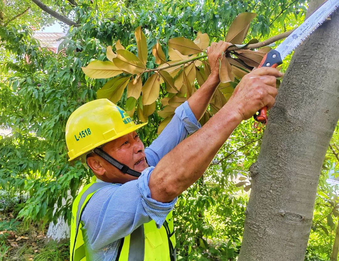 圖片關(guān)鍵詞 圖片