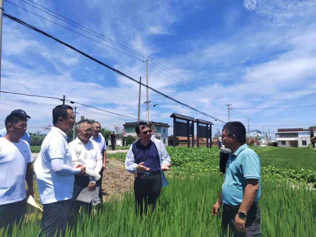 圖片關(guān)鍵詞 圖片