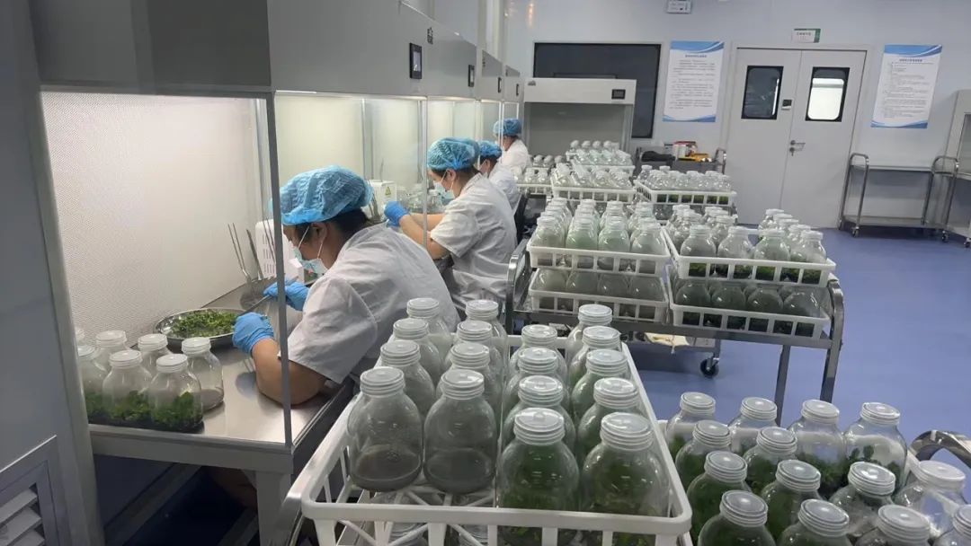 圖片關(guān)鍵詞 圖片