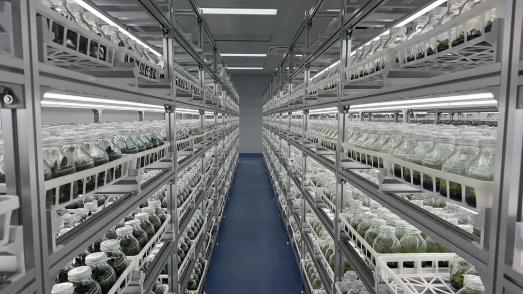 圖片關(guān)鍵詞 圖片