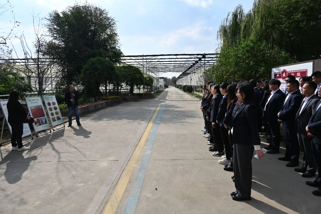 圖片關(guān)鍵詞 圖片