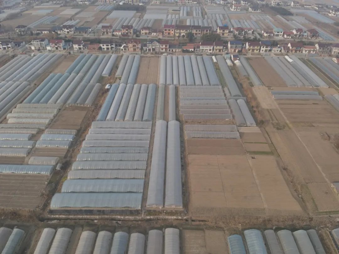 圖片關(guān)鍵詞 圖片