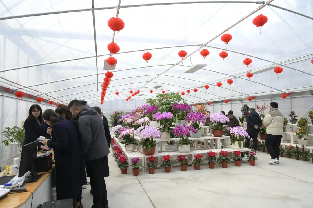 圖片關(guān)鍵詞 圖片